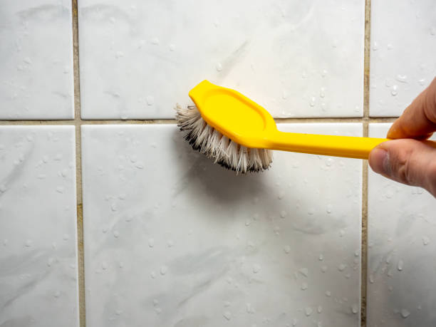 Best Local Mold Removal Service  in Zachary, LA