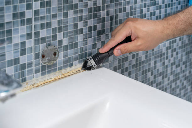 Best Mold Testing  in Zachary, LA
