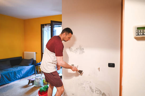 Reliable Zachary, LA Mold Removal Solutions